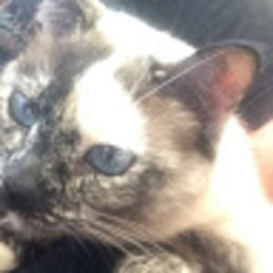 Meet your Posher, Deanna